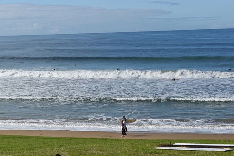 Great Ocean Road Tour Plus Koalas, Forest Walk And Morning Tea. - Accommodation Broome 9