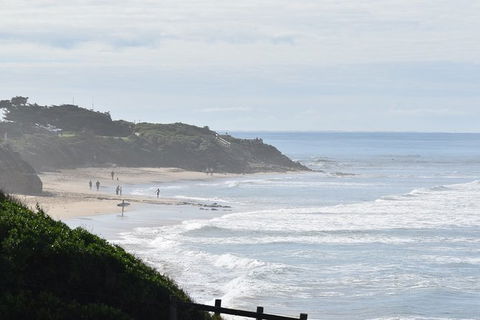 Great Ocean Road Tour Plus Koalas, Forest Walk And Morning Tea. - Accommodation Broome 10