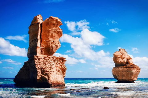 Great Ocean Road Tour Plus Koalas, Forest Walk And Morning Tea. - Accommodation Broome 11