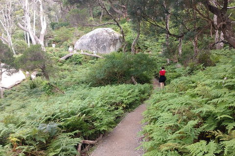 Wilsons Promontory Brainstorming Escape - Accommodation Broome 2