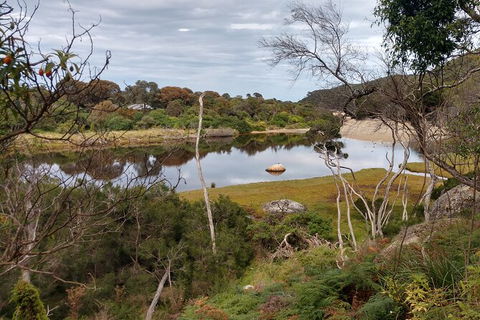 Wilsons Promontory Brainstorming Escape - Accommodation Broome 9