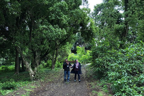 Alices Journeys Guided Walking Tours Of Daylesford - Accommodation Broome 5
