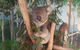 Phillip Island Private Tour - thumb 3