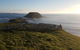 Phillip Island Private Tour - thumb 5