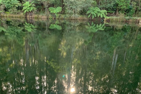 Hiking Tour To Aqueduct And Warburton Valley Lookout - Accommodation Broome 2