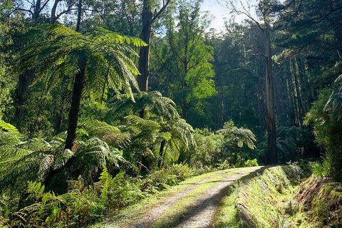 Half-Day Biking Activity From Aqueduct To California Redwoods - Accommodation Broome 1