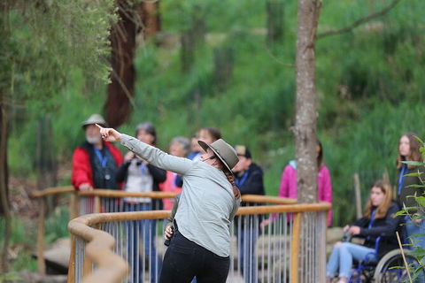 Walk With Wildlife: Guided Tour In Great Ocean Road - Accommodation Broome 0