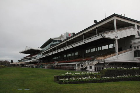 Ultimate Sports Lovers Bus Tour Of Melbourne - Accommodation Broome 10