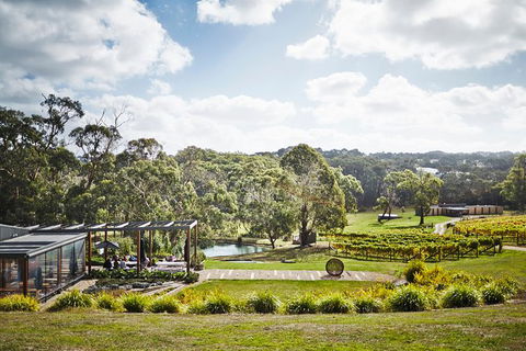 Mornington Peninsula 2-6 Guests Lunch Rare Hare Or Merricks General Wine Store - Accommodation Broome 3