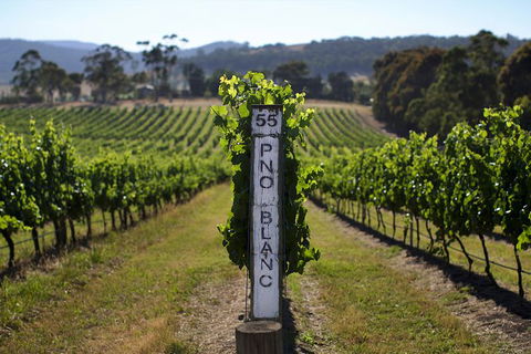 Mornington Peninsula 2-6 Guests Lunch Rare Hare Or Merricks General Wine Store - Accommodation Broome 5