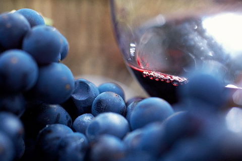 Mornington Peninsula 2-6 Guests Lunch At Merricks General Wine Store Or RareHare - Accommodation Broome 8