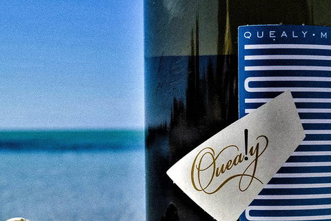 Mornington Peninsula 2-6 Guests Lunch And Inc Wine Tasting At Quealy Winemakers - Accommodation Broome 0