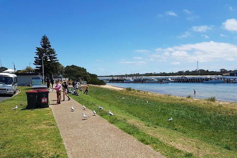 Phillip Island Penguin And Wildlife Tour - Accommodation Broome 25