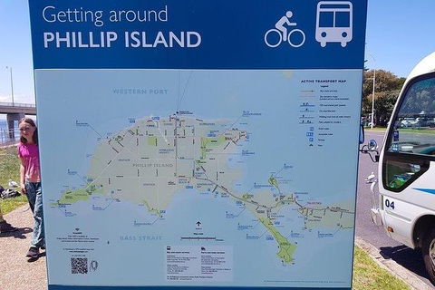 Phillip Island Penguin And Wildlife Tour - Accommodation Broome 28
