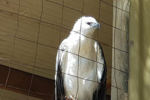 Phillip Island Penguin And Wildlife Tour - Accommodation Broome 21