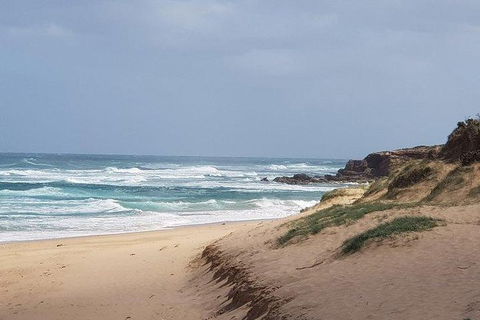 Phillip Island Penguin And Wildlife Tour - Accommodation Broome 10