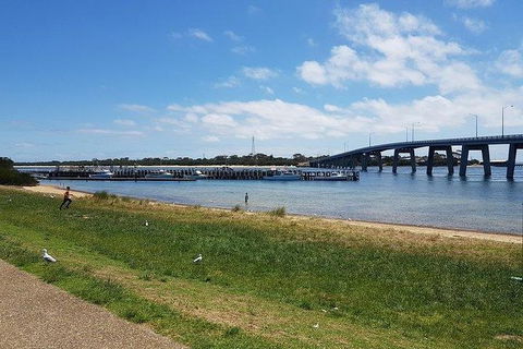 Phillip Island Penguin And Wildlife Tour - Accommodation Broome 24