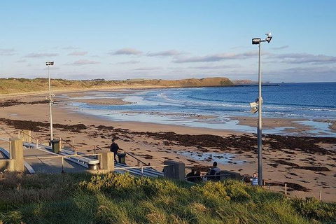 Phillip Island Penguin And Wildlife Tour - Accommodation Broome 8