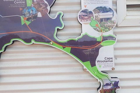 Phillip Island Penguin And Wildlife Tour - Accommodation Broome 29