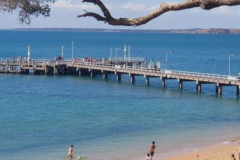 Phillip Island Penguin And Wildlife Tour - Accommodation Broome 2