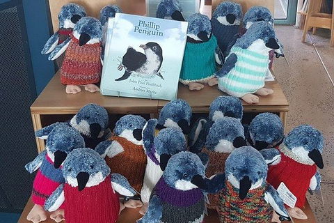 Phillip Island Penguin And Wildlife Tour - Accommodation Broome 27