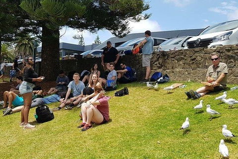 Phillip Island Penguin And Wildlife Tour - Accommodation Broome 22