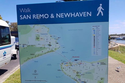 Phillip Island Penguin And Wildlife Tour - Accommodation Broome 35