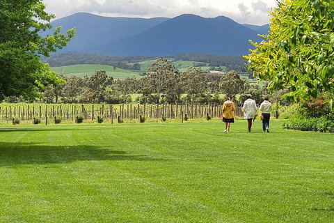 Yarra Valley Wine Tasting Day Tour From Melbourne - Accommodation Broome 6