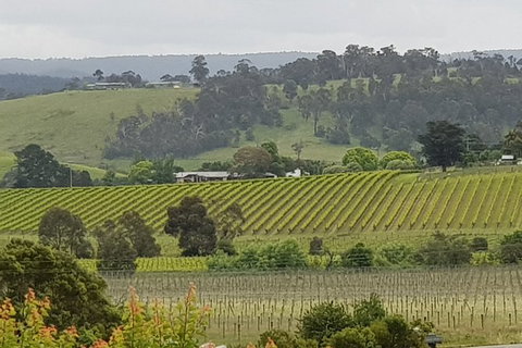 Yarra Valley Wine Tasting Day Tour From Melbourne - Accommodation Broome 0