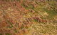 Purnululu Scenic With Argyle Diamond Mine Ground Tour - thumb 7