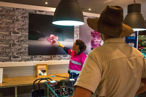 Purnululu Scenic With Argyle Diamond Mine Ground Tour - Accommodation Broome 12