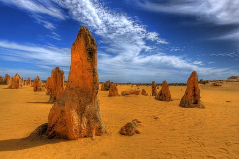 Pinnacles Desert, New Norcia And Wildflowers Day Tour From Perth - Accommodation Broome 4
