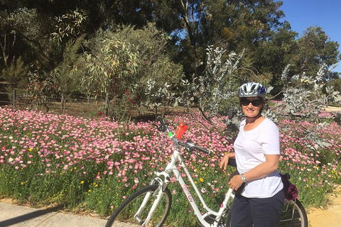 Perth Bike Tour - Beautiful Matilda Bay And Kings Park - Accommodation Broome 5