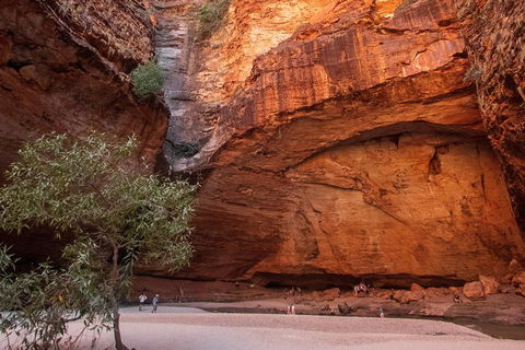 Overnight At Wilderness Lodge: Bungles, Cathedral + Echidna Chasm - Accommodation Broome 3