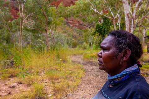 Overnight At Wilderness Lodge: Bungles, Cathedral + Echidna Chasm - Accommodation Broome 6