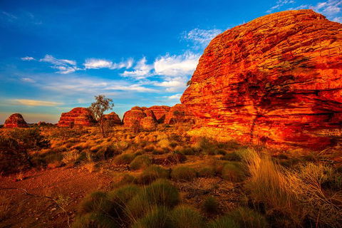 Overnight At Wilderness Lodge: Bungles, Cathedral + Echidna Chasm - Accommodation Broome 1