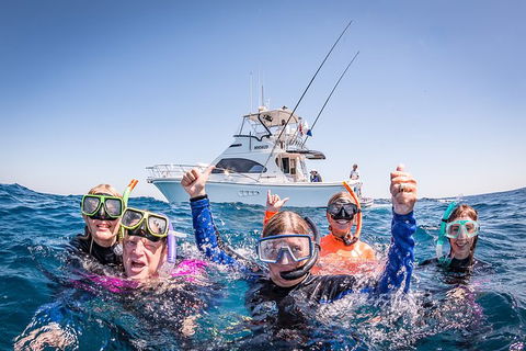 Life On Ningaloo Swimming Tour In Exmouth - Accommodation Broome 4
