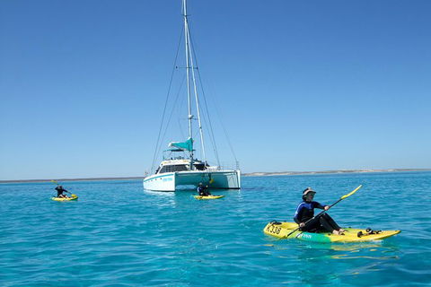 5 Night Ningaloo Reef Ningaloo Escape From Coral Bay - Accommodation Broome 0
