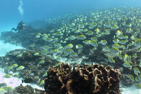 5 Night Ningaloo Reef Ningaloo Escape From Coral Bay - Accommodation Broome 5