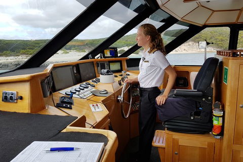 Full-Day Killer Whale Expedition From Albany - Accommodation Broome 4