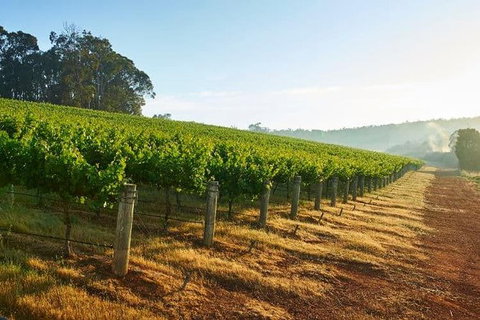 Botanical Gardens, Winery And Scenic Full Day Tour - Accommodation Broome 2