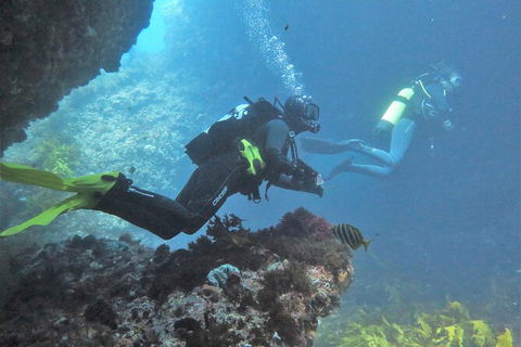 PADI Open Water Course - Accommodation Broome 2