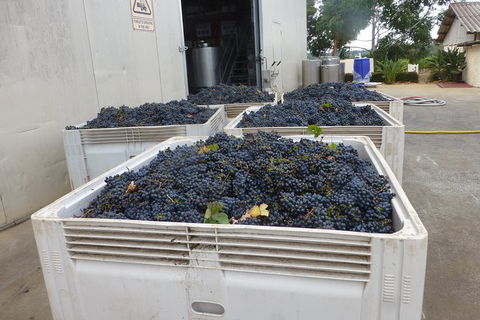 A Taste Of Margaret River Luxury Wine Tour - Accommodation Broome 3