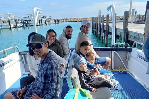 Whale Watching Boat Tour In Geraldton - Accommodation Broome 1