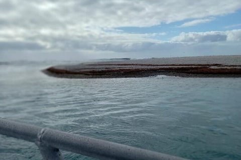 Abrolhos Islands Fishing Charter - Accommodation Broome 6