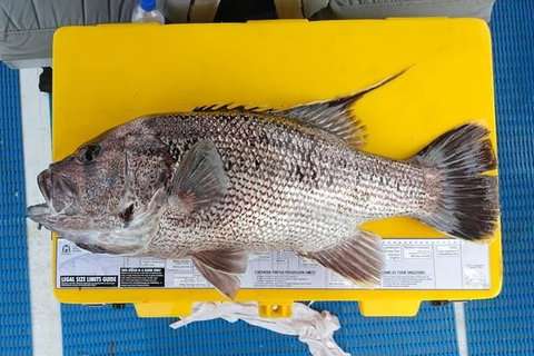 Abrolhos Islands Fishing Charter - Accommodation Broome 2