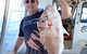Abrolhos Islands Fishing Charter - thumb 4