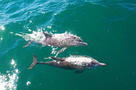 Sailing Kayak Adventure Through The Peel Harvey Estuary - Accommodation Broome 1
