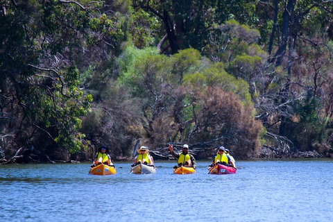Private Guided River Kayak Tour - Accommodation Broome 6