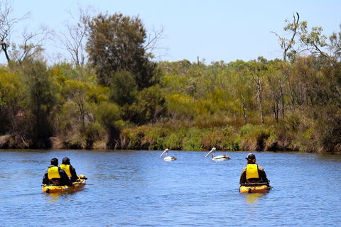 Private Guided River Kayak Tour - Accommodation Broome 4